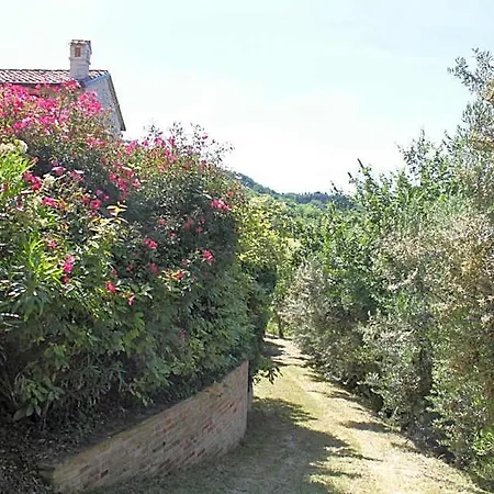 Melagrana 4* Fano